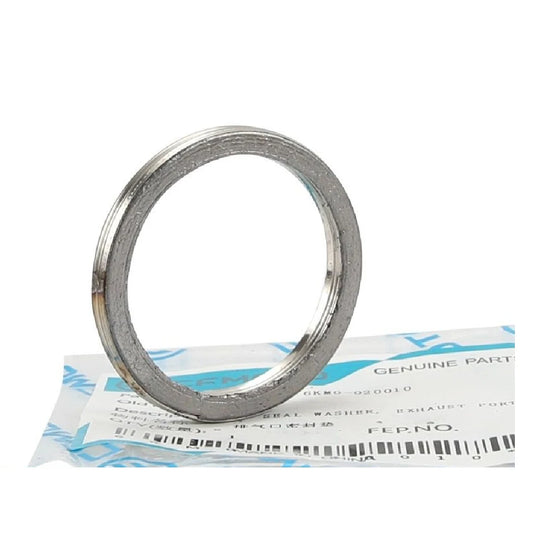 Exhaust Gasket